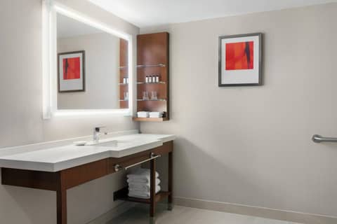 Delta Hotels by Marriott Indianapolis Airport — photo 5