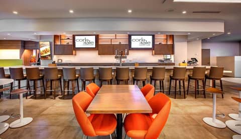 EVEN Hotel Sarasota-Lakewood Ranch by IHG — photo 4