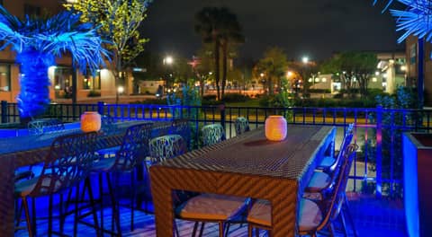 Hotel Indigo Savannah Historic District by IHG — photo 4