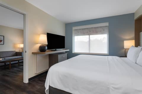 Holiday Inn - Tampa North by IHG — photo 5