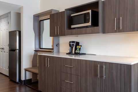 Holiday Inn - Tampa North by IHG — photo 7