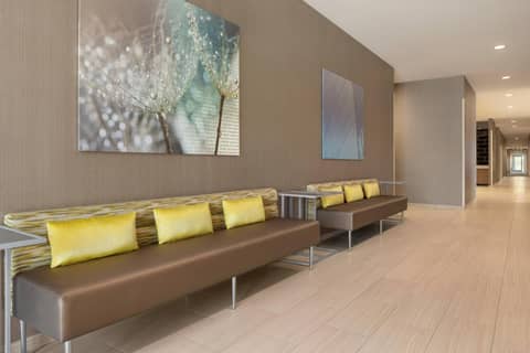 SpringHill Suites by Marriott Milwaukee West/Wauwatosa — photo 7