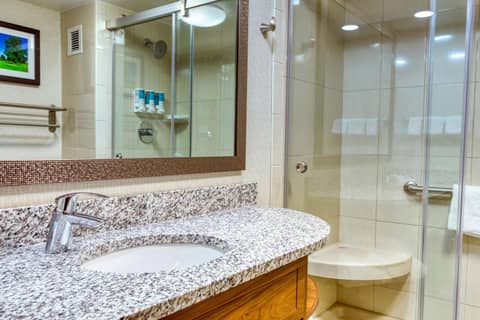 Drury Inn and Suites St Louis Collinsville — photo 3