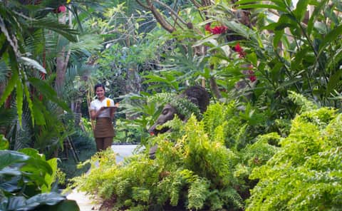 Pandawa All Suites Hotel — photo 2