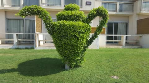 Pyramids Park Resort Cairo — photo 6