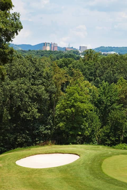 Crowne Plaza Resort Asheville by IHG — photo 4