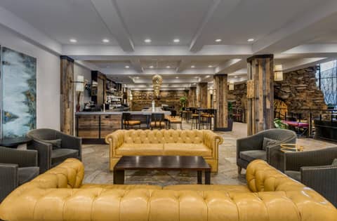 Crowne Plaza Resort Asheville by IHG — photo 6