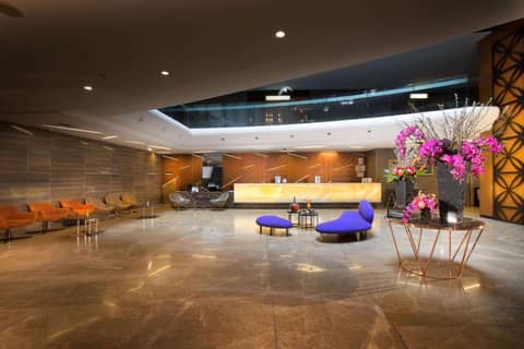 DoubleTree By Hilton Istanbul - Old Town — photo 3