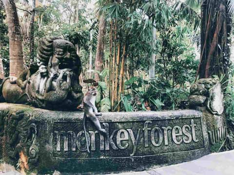 Kaamala Resort & Spa Ubud by Ini Vie Hospitality — photo 4