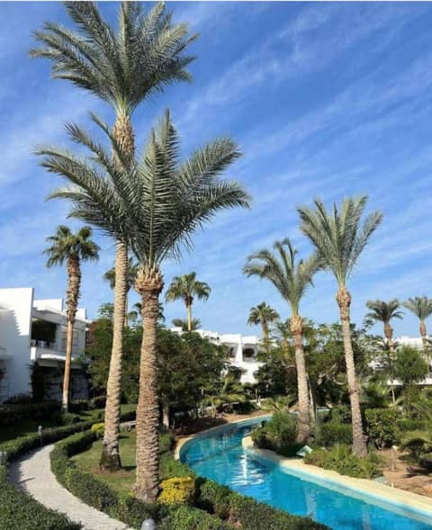 Monte Carlo Sharm Resort & Spa — photo 9