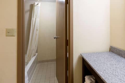 Clarion Hotel Detroit Metro Airport — photo 6