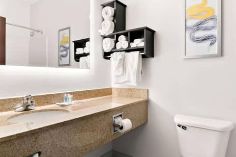 Holiday Inn Express & Suites Southfield - Detroit — photo 9