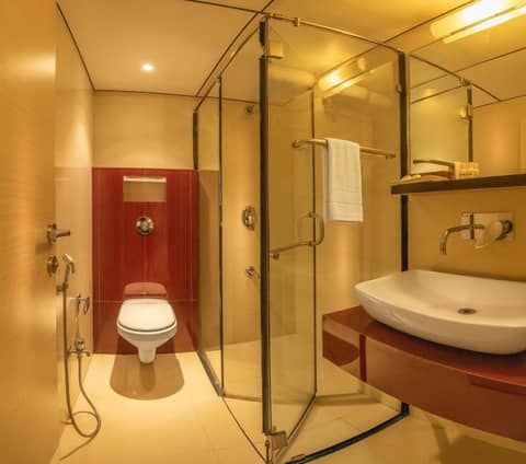 Hotel Oriental Aster - Mumbai International Airport — photo 8
