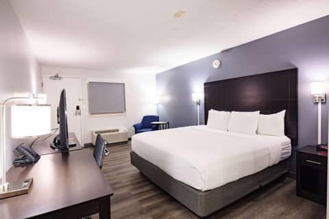 La Quinta Inn by Wyndham Tampa Near Busch Gardens — photo 5
