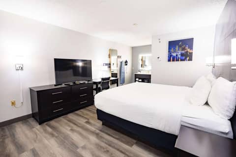 La Quinta Inn by Wyndham Tampa Near Busch Gardens — photo 6
