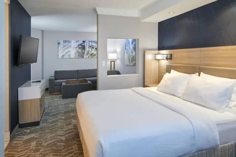 SpringHill Suites Detroit Southfield — photo 8
