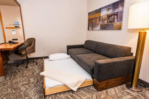 Springhill Suites by Marriott San Antonio Alamo Plaza/Convention Center — photo 3