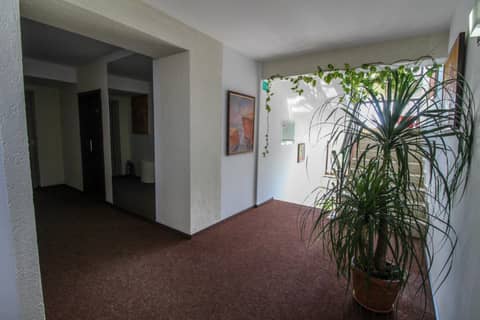 Hotel Razvan — photo 3