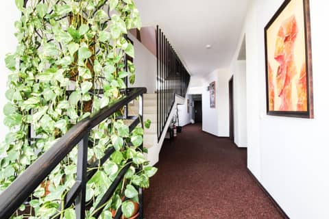 Hotel Razvan — photo 8