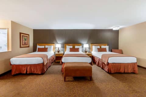 Best Western Plus Pavilions — photo 3
