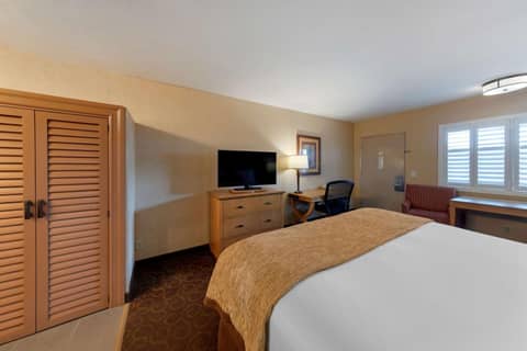 Best Western Plus Pavilions — photo 5