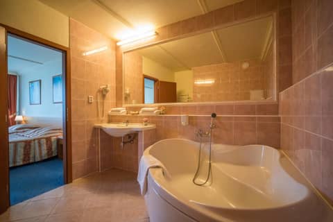 TOP HOTEL Praha — bathroom