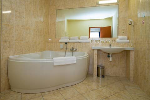 TOP HOTEL Praha — bathroom