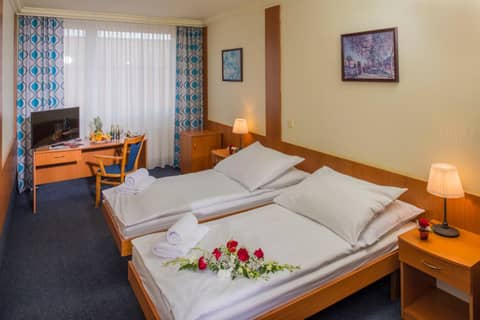 TOP HOTEL Praha — hotel room