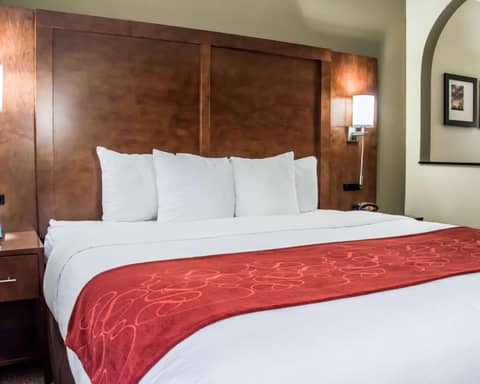 Comfort Suites University - Research Park — photo 7