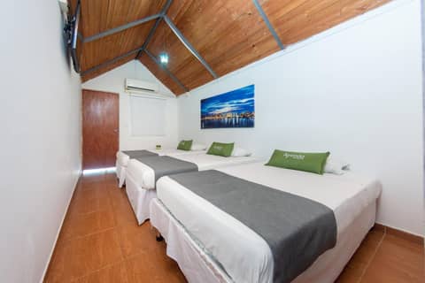 Triple Room — the supplier's photographs — photo 1