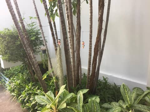 Sirin Hotel Hua Hin — photo 2