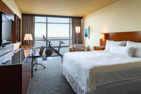 The Westin Tampa Bay — photo 4