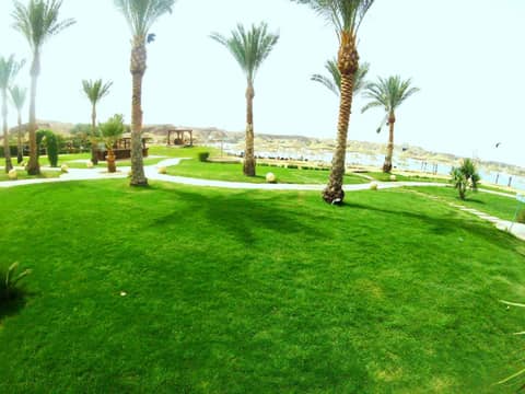 Xperience Golden Sandy Beach- Adults Only — photo 6