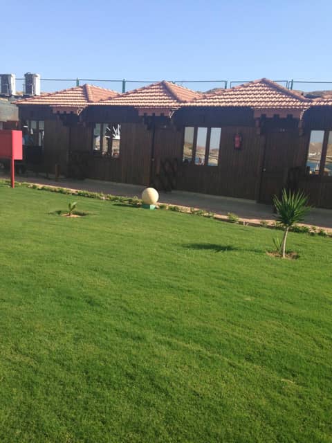 Xperience Golden Sandy Beach- Adults Only — photo 7