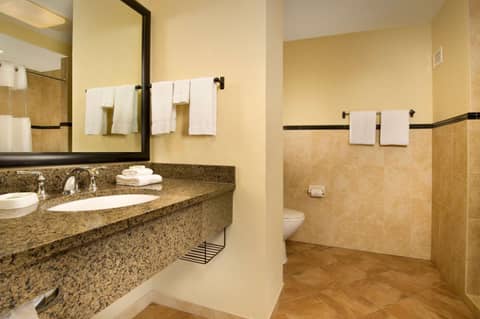 Drury Plaza Hotel San Antonio North Stone Oak — photo 3