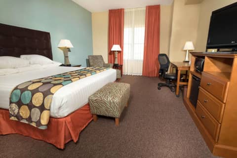 Drury Plaza Hotel San Antonio North Stone Oak — photo 6