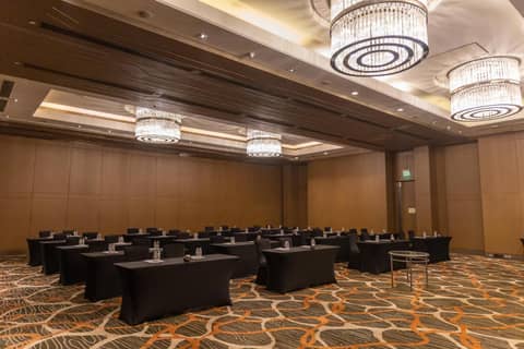 Holiday Inn New Delhi Aerocity by IHG — photo 3