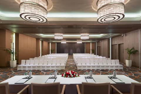 Holiday Inn New Delhi Aerocity by IHG — photo 8