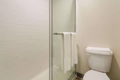 Quality Inn & Suites Dallas-Cityplace — photo 7