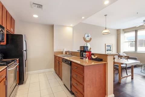 Spacious Modern Condos near French Quarter — photo 5