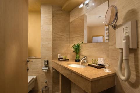 Rosslyn Thracia Hotel Sofia — photo 6