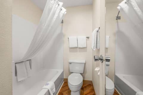 La Quinta by Wyndham Tampa Brandon West — photo 5