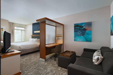 Springhill Suites by Marriott Anaheim Maingate — photo 7