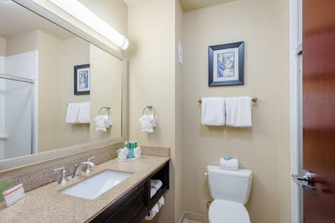 Holiday Inn Express Hotel & Suites Dallas West by IHG — photo 5