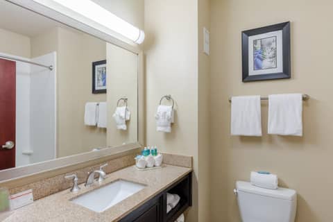 Holiday Inn Express Hotel & Suites Dallas West by IHG — photo 6