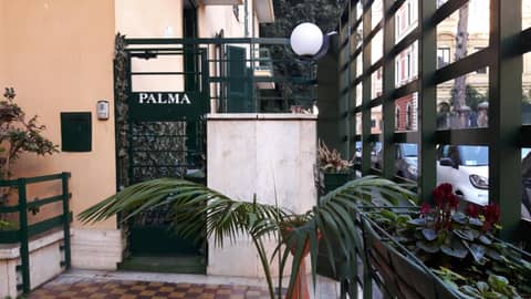 Palma — photo 7