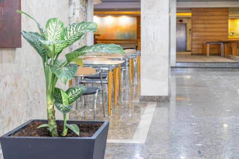 Braston Augusta Hotel by Castelo Itaipava — photo 6