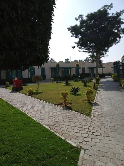 Cairo Pyramids Hotel — photo 4