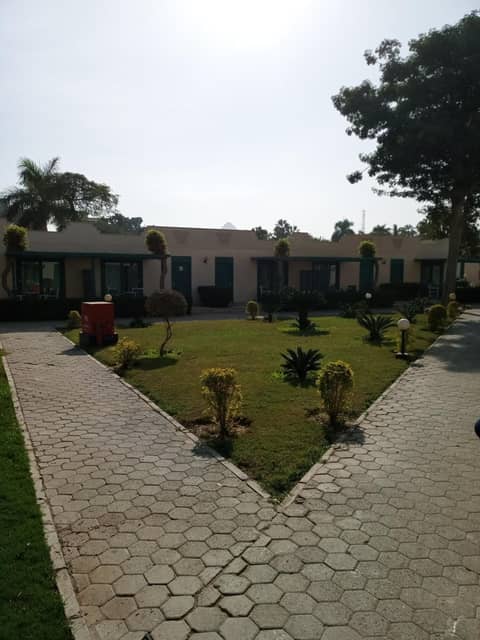 Cairo Pyramids Hotel — photo 7