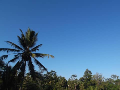 Doni House & Villas — other